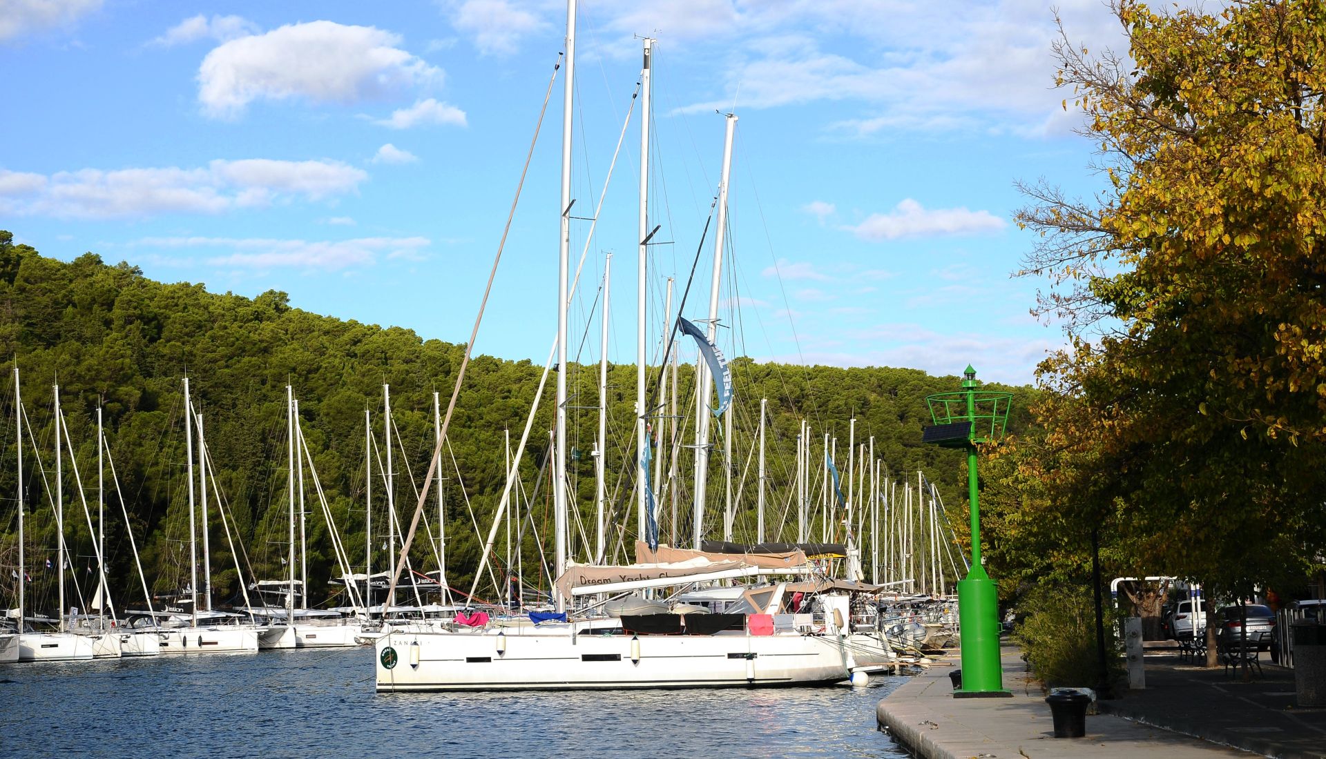 Kornaty pod żaglami